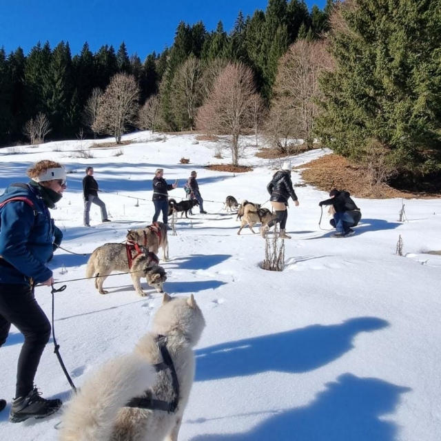 Cani-caminhada no Maciço Roc d’Enfer - 2h