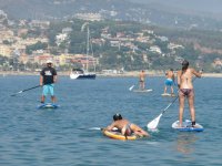  Paddle surfing experience 