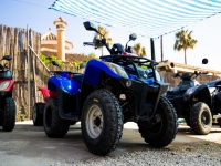  Quad Bikes 