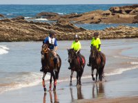  Horses on the beach 