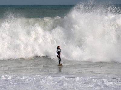 Gravity Cartel Surf