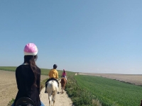  Reiten durch Cádiz 