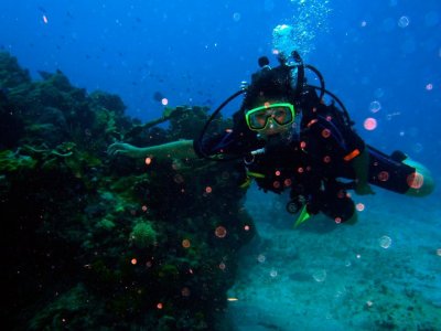 PADI Open Water Diver Yucatán