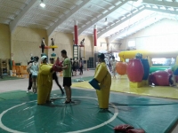  Sumo combat