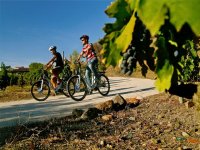  Autogeführte Wege mit GPS 