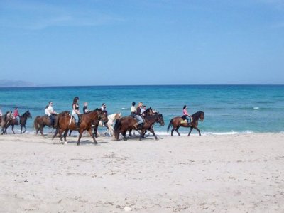 Rancho Can Picafort