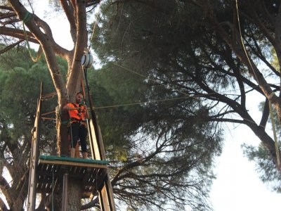 Bosque Suspendido Rappel
