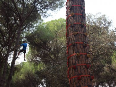 Bosque Suspendido Escalada