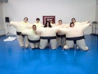  Stuffed in sumo suits 