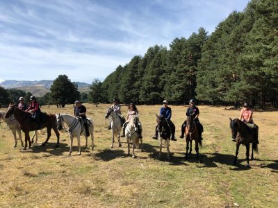 Club Hípico Valle del Tiétar