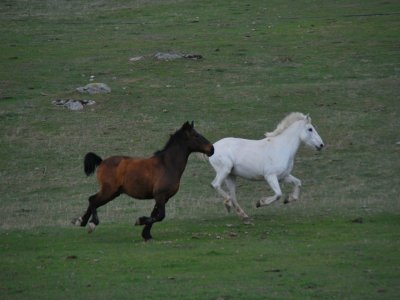 Finca La Espioja Rutas a Caballo