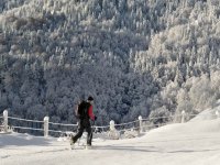  漫步在白雪覆盖的围栏旁 