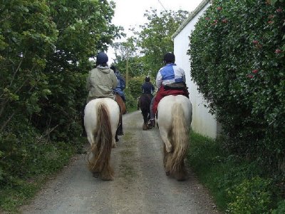 Percurso a cavalo ao longo do rio Ara, Sarvisé, 2 horas