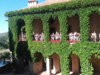 Balcones cubiertos de hiedra