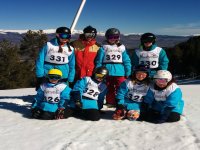 Group ski lessons 