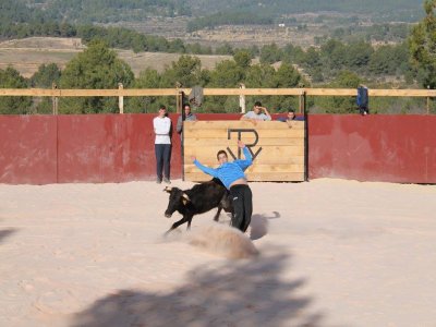 Ganadería Saliner Despedidas de Soltero