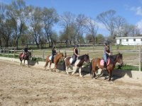  A horse ride through the interior of the farm