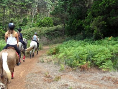 Manchón de las Flores, La Laguna (Tenerife) 2021