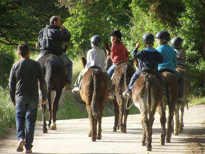 Nou Ranxo Paseos en Burro