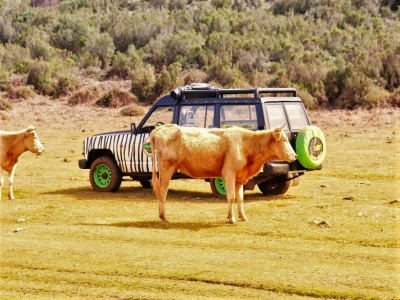 Passeio 4x4 pelo Sudoeste da Madeira (7 horas)