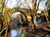  Routen durch Naturlandschaften 