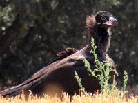  Die Fauna genießen 