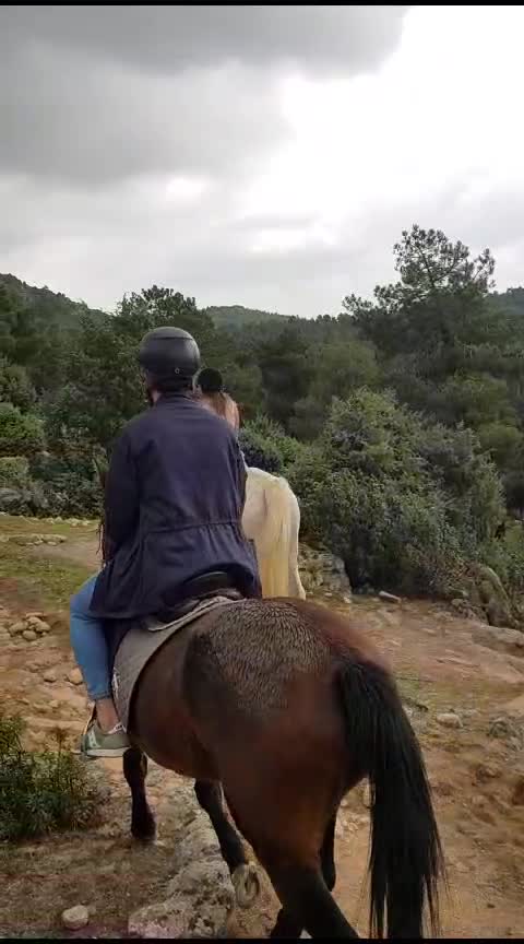 res_o-59982-rutas-a-caballo_de_agustin-rodriguez_16981808454546.mp4