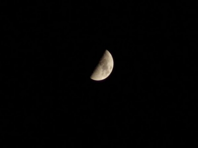 Lunadas a caballo en el Valle de Lozoya, verano