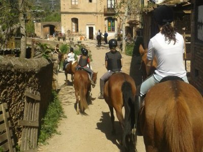 Horses and Nature
