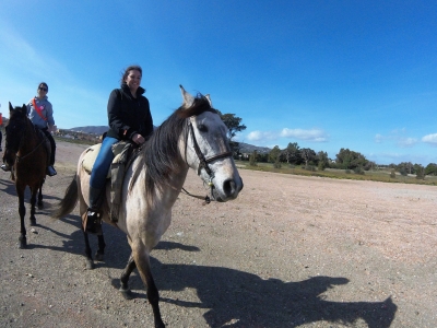 Ocho Cumbres Rutas a Caballo