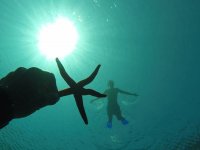 Sosteniendo una estrella de mar