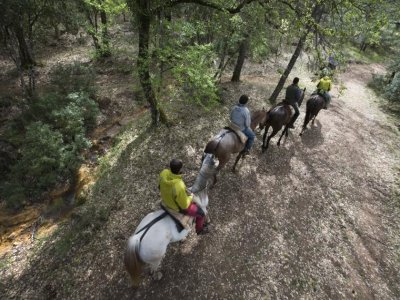Ruta a caballo en Cazorla 1 hora