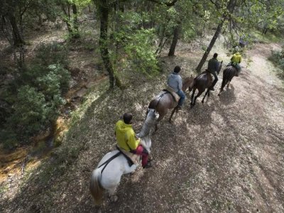 Excursión a caballo de 2 horas en Cazorla