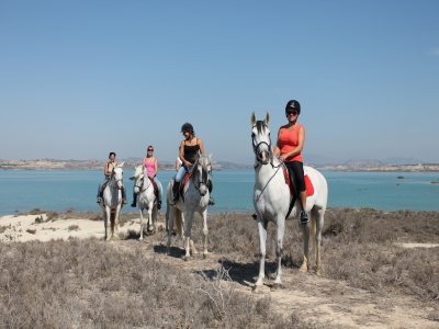 Ruta a caballo cerca de Torrevieja 1 hora