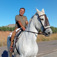 Ronie D’Lauri