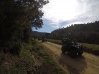 Quad fahren