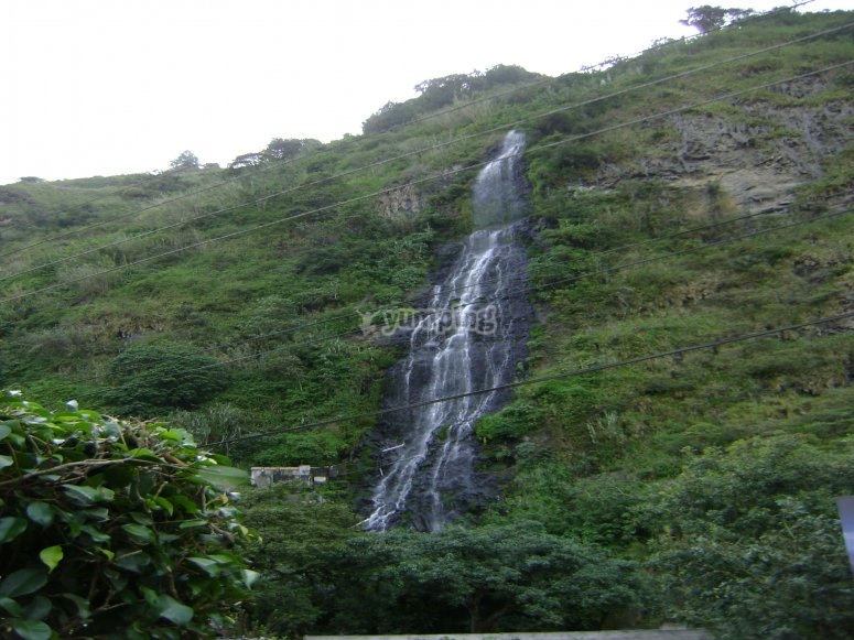 Los Jarales, precios y reservas 2024