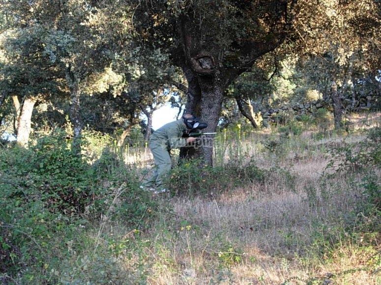 Los Jarales, precios y reservas 2024