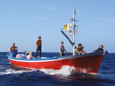 Océano Whale Watching Paseos en Barco