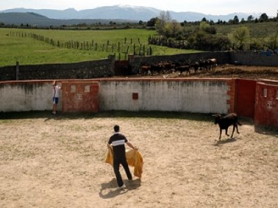 Capea para 400 personas, finca en Ruta del Toro