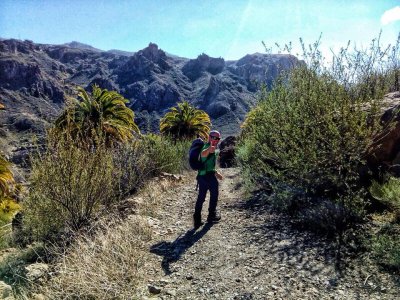 Alisio Actividades Orientación