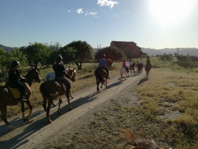 Economic horseback route in Collserola 1h