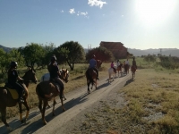  Returning to the farmhouse