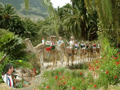 Camel Safari Park - La Baranda