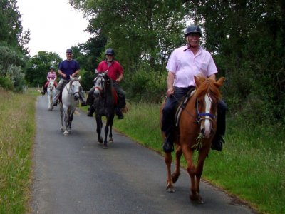 Ruta a caballo por Cortafuegos de 2 horas