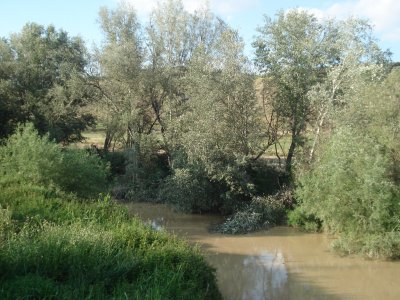 Ocioaventura Cerro Gordo 