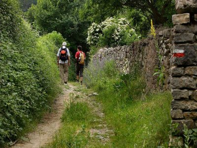 Halbtägige Wandertour in Berguedá