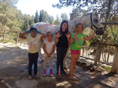 Campamento hípico de verano, Sant Feliu, semanal