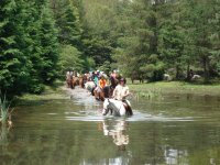 Encabezamiento de la excursion