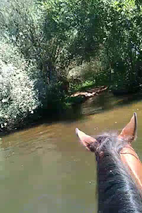 rutas-a-caballo_de_lucia_1470168530.6675.mp4